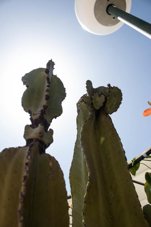 Casa De 5 Dormitorios Y 2 Terrazas Maspalomas  Zewnętrze zdjęcie